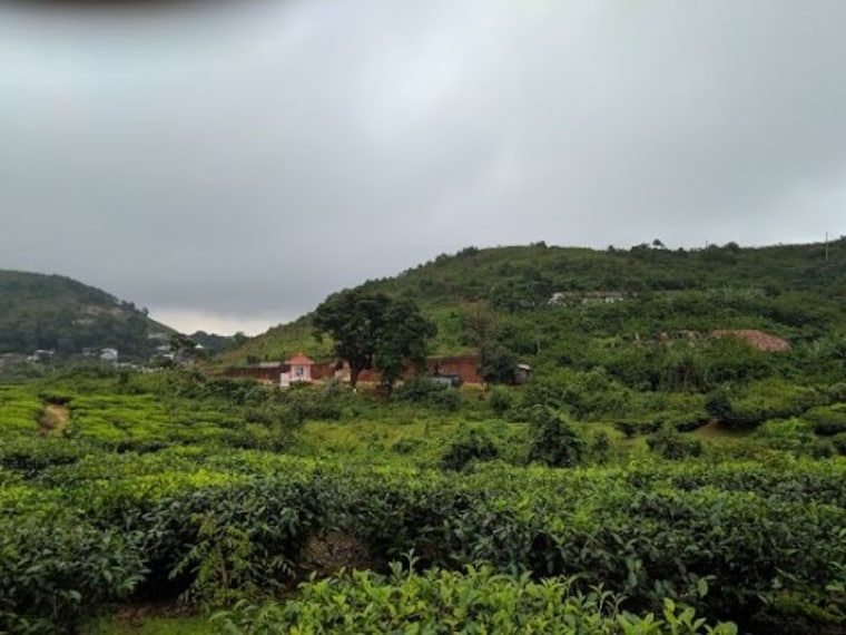 Vagamon Lake-5